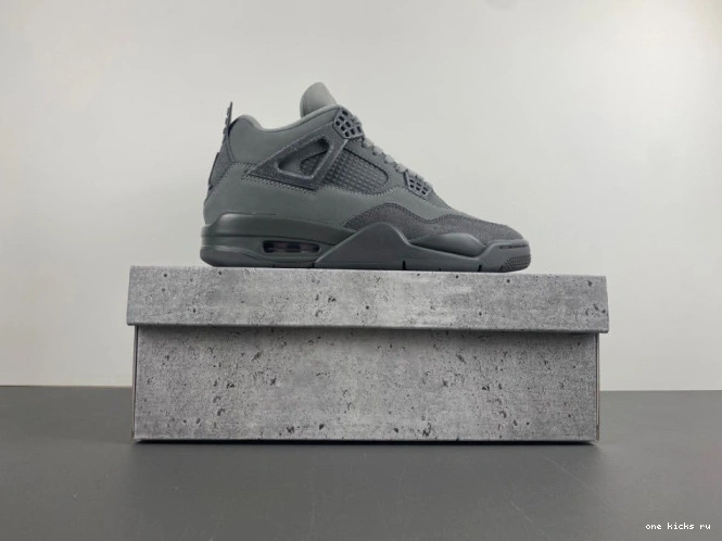 Rep Onekick Air 4 SE Jordan Olympics Paris 0801